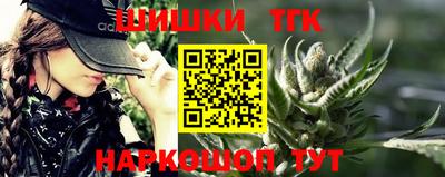 сатива Кандалакша