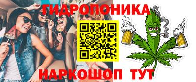 сатива Кандалакша
