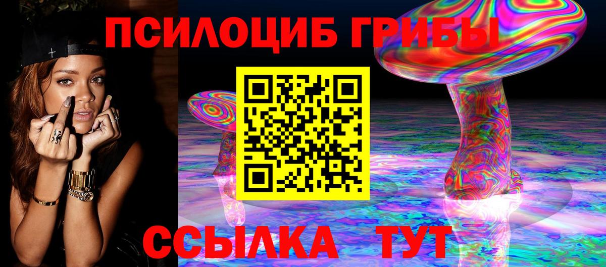Псилоцибиновые грибы Psilocybine cubensis Бутурлиновка
